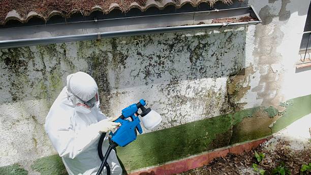 Top rated local Commercial Mold Remediation specialists in Everett, PA